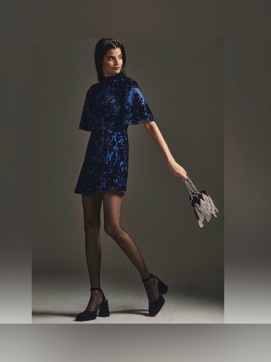 Anthropologie Dresses & Skirts - Anthropologie Mock - Neck
Velvet Mini Dress size 4